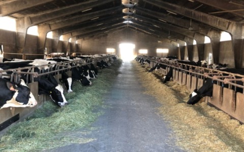 Incontro informativo per gli allevatori della Valsassina