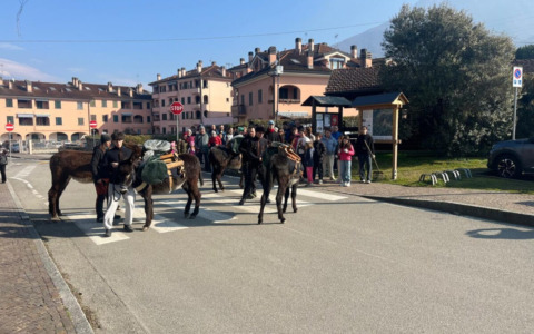 Pulizia del paese a passo d’asino