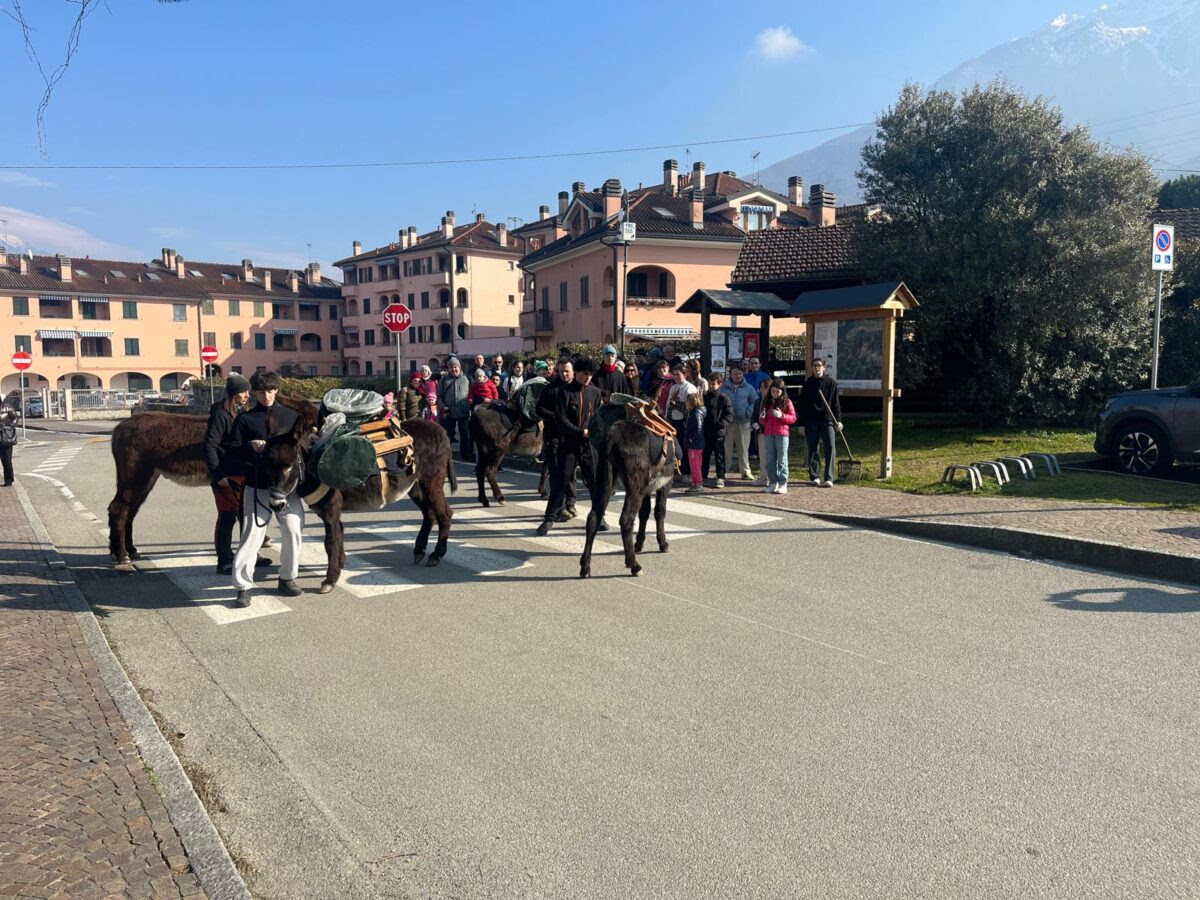 Pulizia del paese a passo d’asino