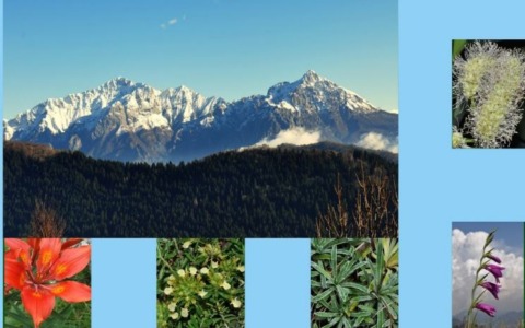 Alla scoperta della biodiversità delle Grigne a Valmadrera