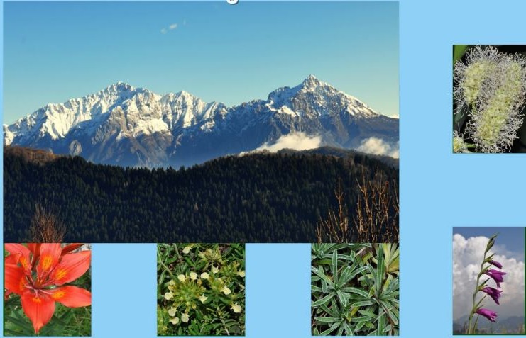 Alla scoperta della biodiversità delle Grigne a Valmadrera