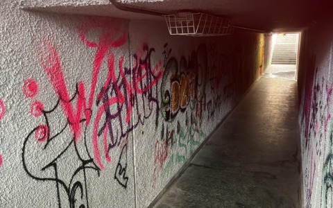 Il Sottopasso di Capiate: Vandalismi e Degrado, un Problema Persistente