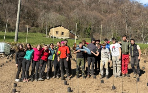 Studenti del Marco Polo di Colico al lavoro per un nuovo vigneto eroico a Vendrogno