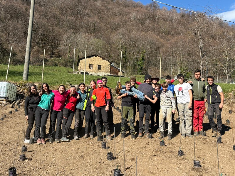 Studenti del Marco Polo di Colico al lavoro per un nuovo vigneto eroico a Vendrogno