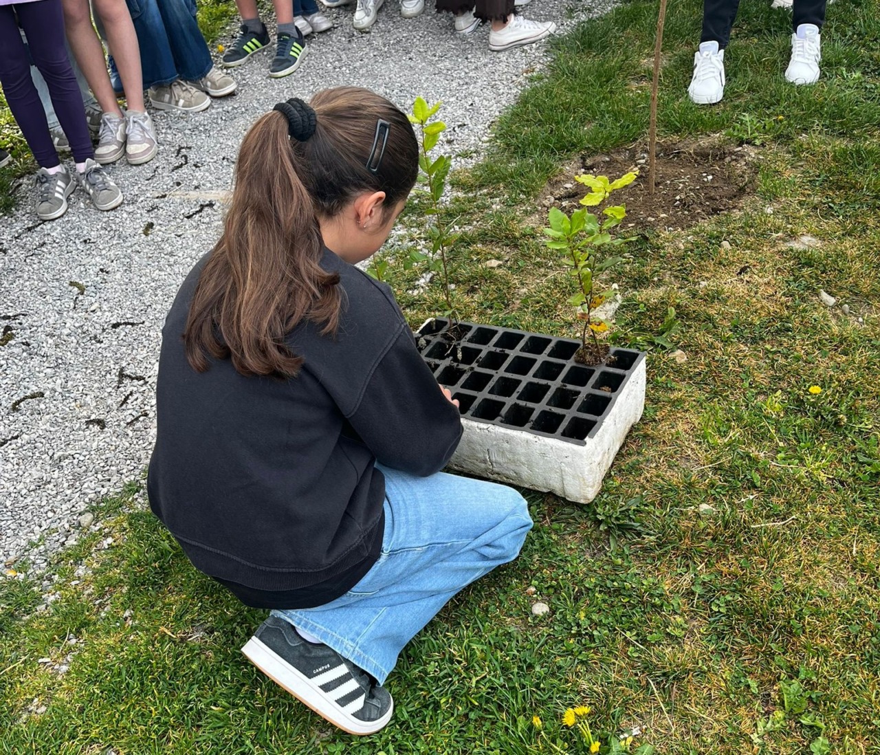 A Valgreghentino, il progetto “Semi di Pace” coinvolge i bambini nella piantumazione di alberi