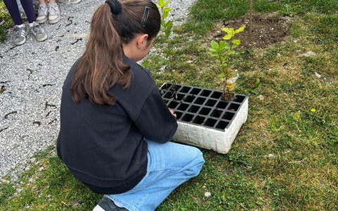 A Valgreghentino, il progetto “Semi di Pace” coinvolge i bambini nella piantumazione di alberi