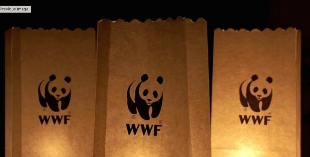 Il WWF Lecco presenta “Di erbe e antichi saperi”: un viaggio tra natura e tradizioni