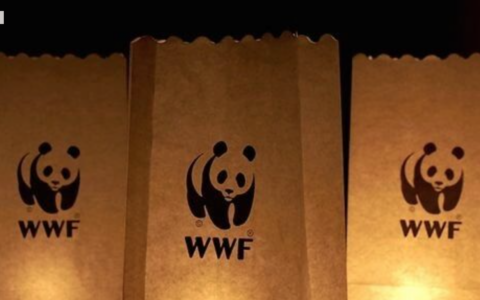 Il WWF Lecco presenta “Di erbe e antichi saperi”: un viaggio tra natura e tradizioni