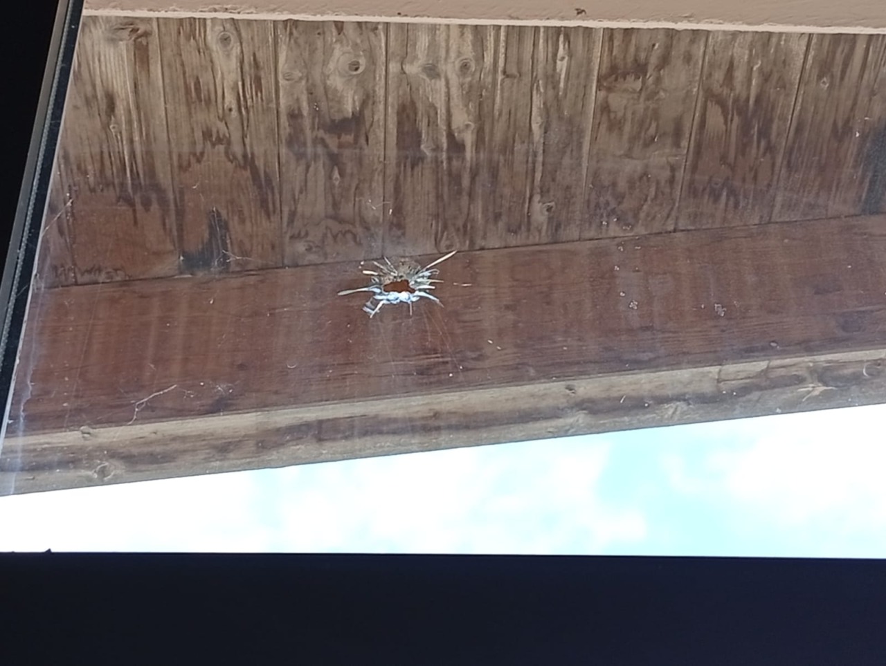 Introbio: episodi vandalici nella palestra scolastica