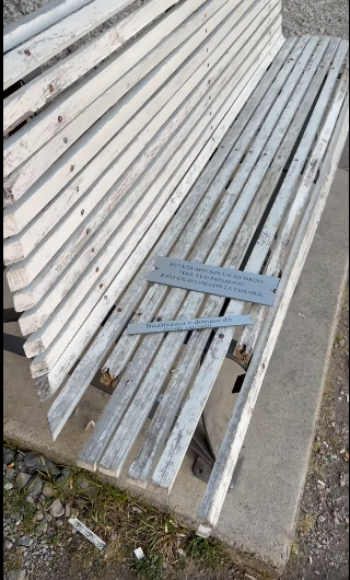 La panchina dell’amore distrutta: l’autore rimuove tutto