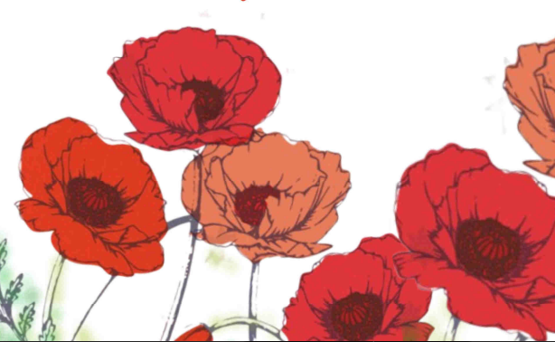 Lecco celebra l’81° anniversario della Liberazione: memoria e identità