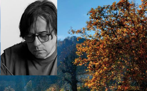 Lorenzo Gabanizza presenta il libro “La vita attutita”