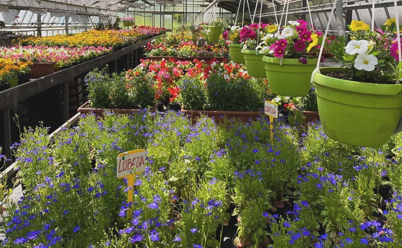 “Montessori in fiore”: l’incontro primaverile del Centro di Formazione Professionale Consolida