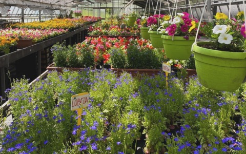 “Montessori in fiore”: l’incontro primaverile del Centro di Formazione Professionale Consolida