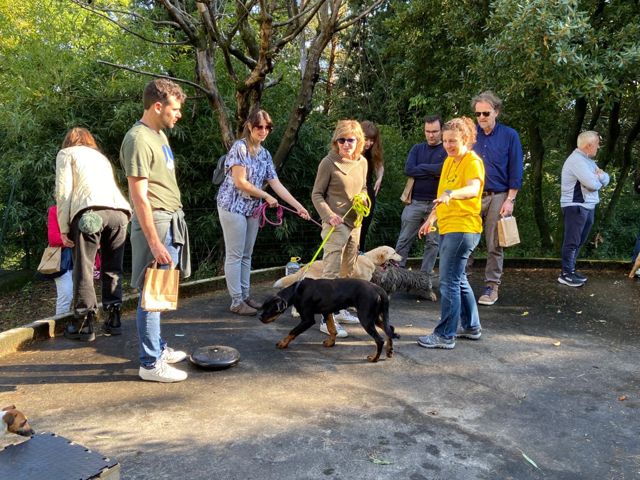 Successo per il Centro Cinofilo Family Dog: oltre cento visitatori all’apertura