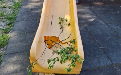 Vandalismi e rissa al parco di via Stoppani: chiusura immediata