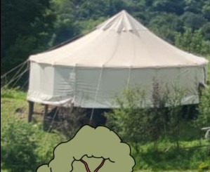 Weekend di spiritualità e memoria in Valsassina tra alberi e natura