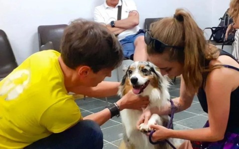 A Vercurago si discute del primo soccorso veterinario per cani