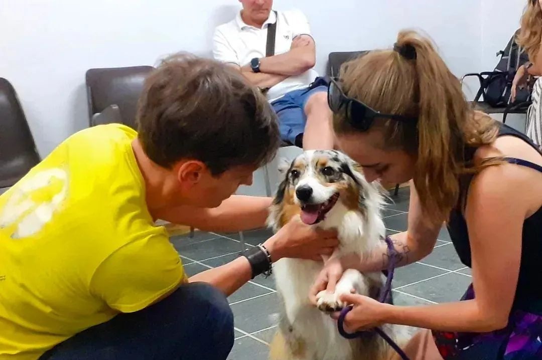 A Vercurago si discute del primo soccorso veterinario per cani