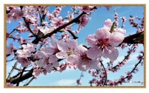Al via la 6^ edizione di ‘Atmosfere di primavera’ del Gruppo Artisti Olatesi