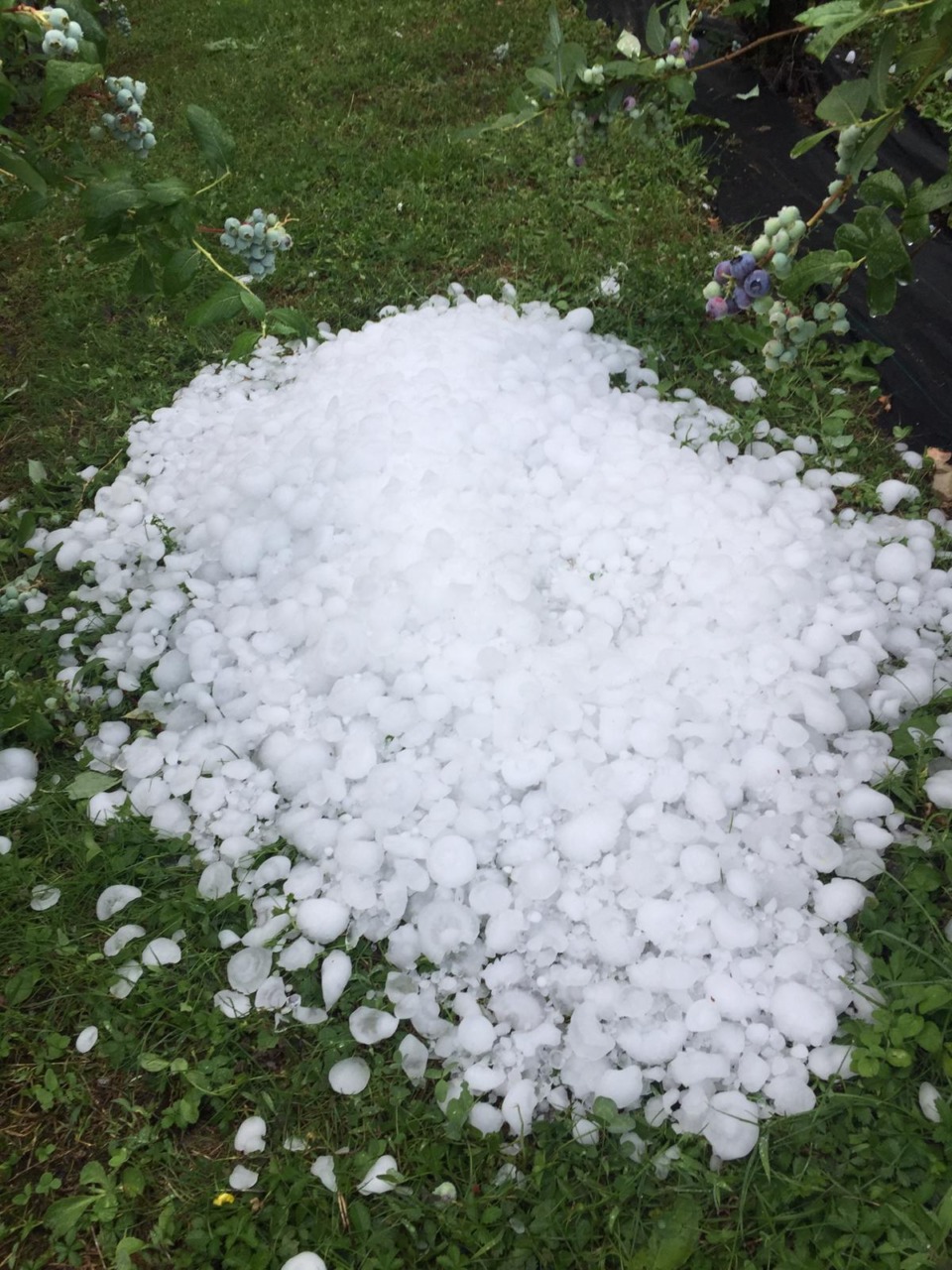 Allerta meteo gialla per temporali e grandinate a Lecco