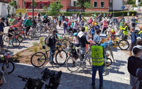 Bimbimbici 2026: a Lecco si celebra la mobilità sostenibile con il Piedibus