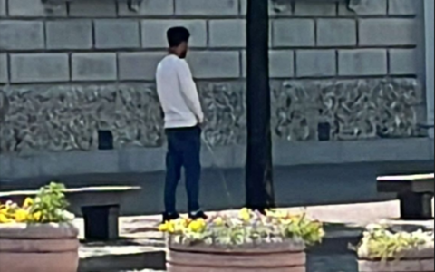 Lecco, uomo si urina su un albero in piazza Garibaldi: un gesto inaccettabile