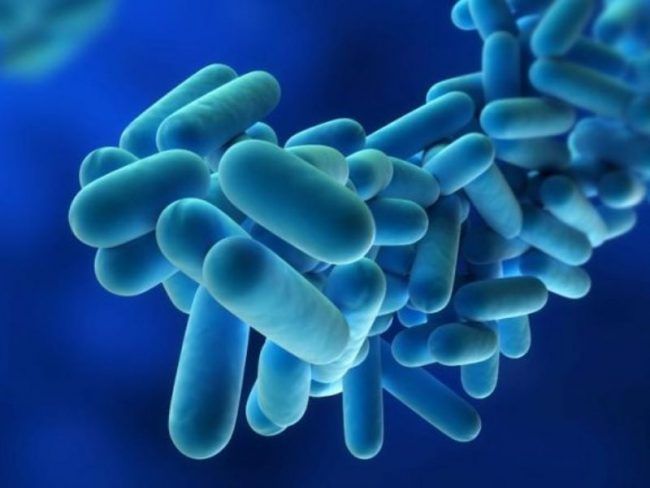 Legionella: il rischio da prevenire negli ambienti di lavoro