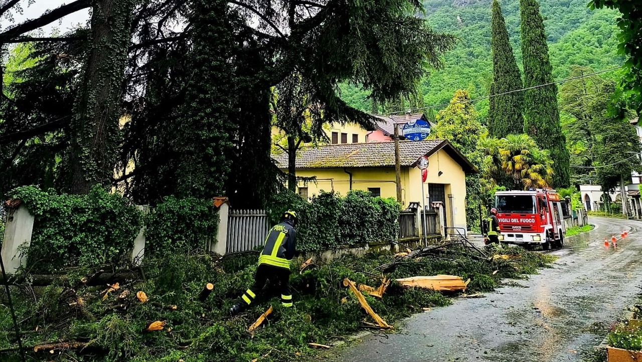 Maltempo a Lierna: alberi caduti e strada interrotta dopo un fulmine