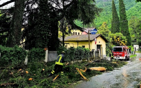Maltempo a Lierna: alberi caduti e strada interrotta dopo un fulmine