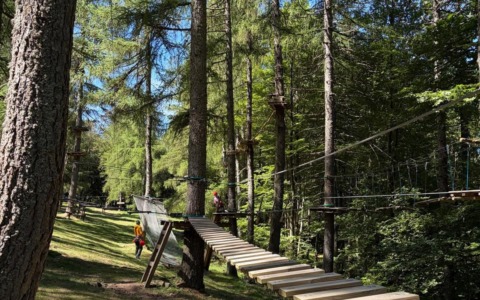 Cambio di gestione per il Parco Avventura del Pian delle Betulle, attività regolare