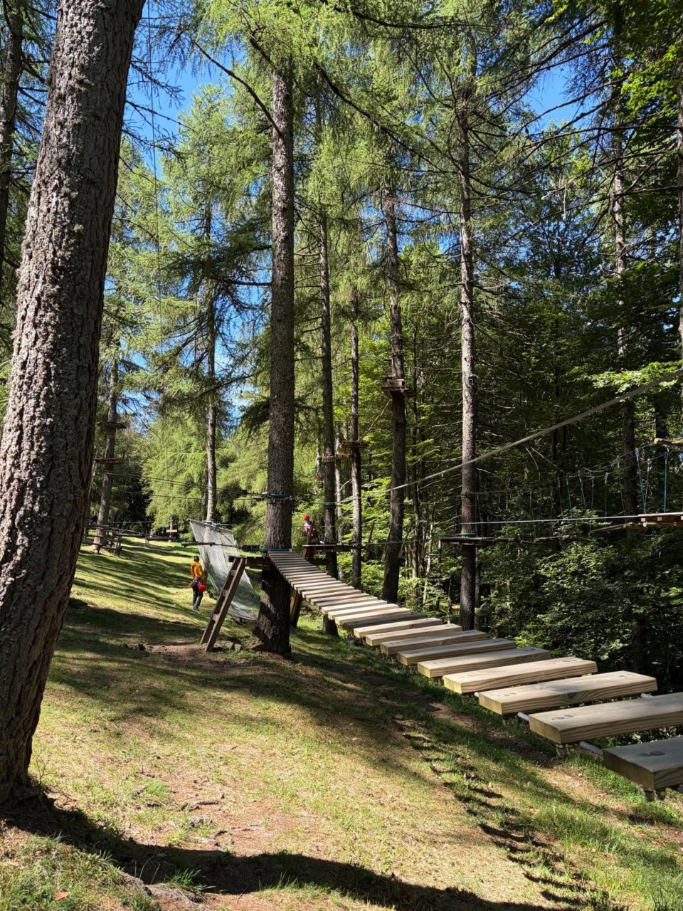 Cambio di gestione per il Parco Avventura del Pian delle Betulle, attività regolare