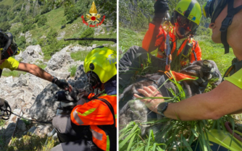 Due husky dispersi ritrovati sul Resegone: intervento risolutivo dei Vigili del Fuoco