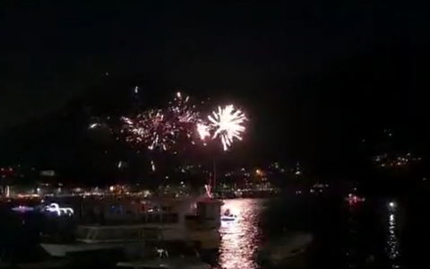 Richiesta di limitare i fuochi d’artificio: impatto su animali e fauna selvatica