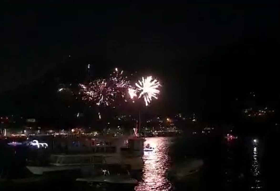 Richiesta di limitare i fuochi d’artificio: impatto su animali e fauna selvatica