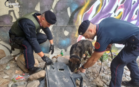 Colico in allerta per la sicurezza: convocato il Comitato provinciale il 6 luglio
