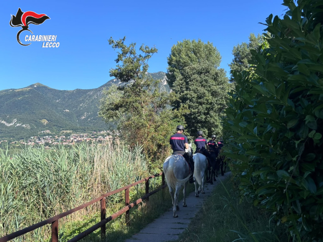 Controlli straordinari dei Carabinieri a cavallo nel lecchese contro lo spaccio