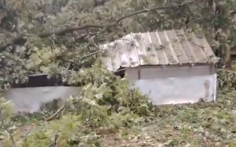 Frana in via ai Colli a Calolziocorte: un pollaio travolto dallo smottamento
