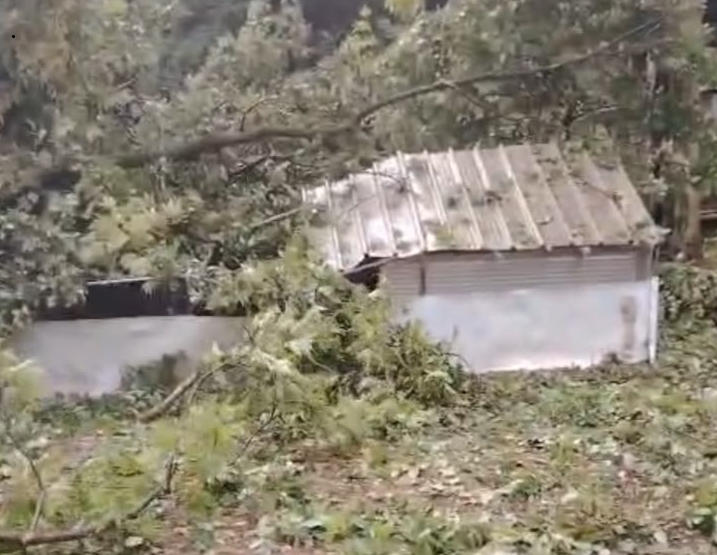 Frana in via ai Colli a Calolziocorte: un pollaio travolto dallo smottamento