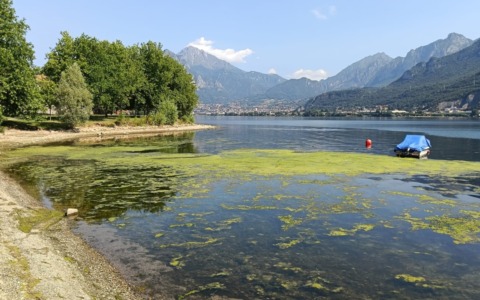 Oltre 600mila euro per i laghi di Garlate e Sartirana