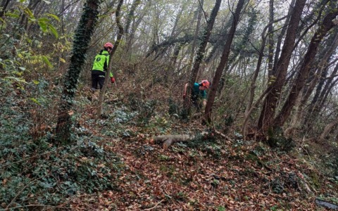 Riscoperta dei fossili di Antonio Stoppani al Parco del Monte Barro