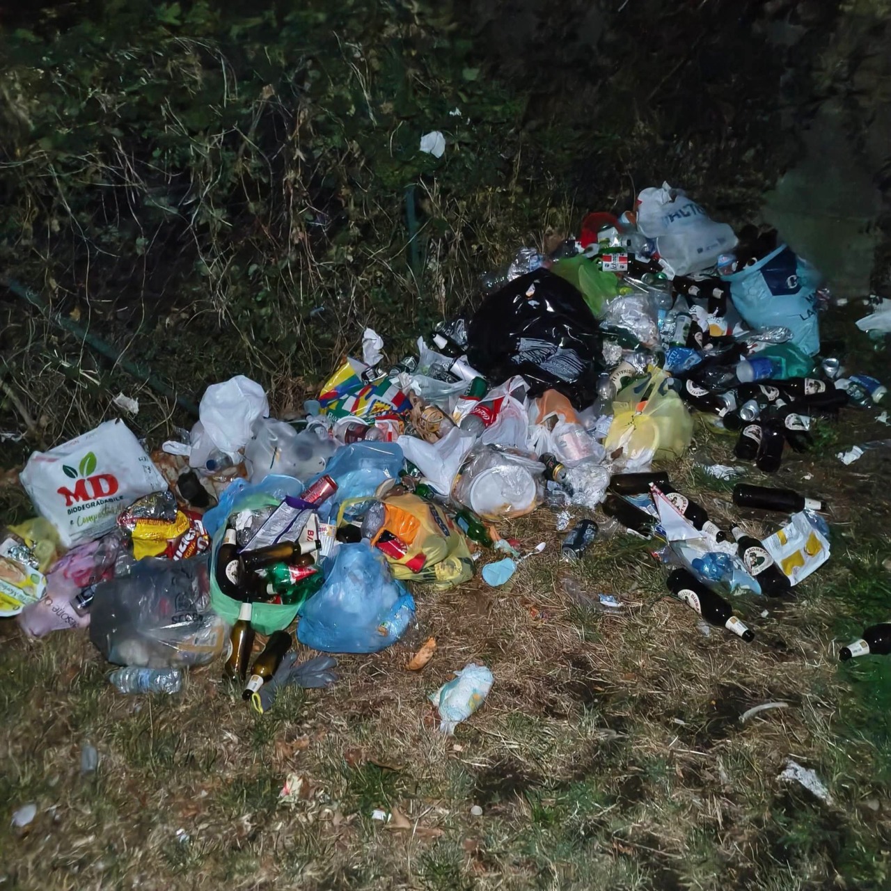 Vercurago, la spiaggia soffocata dai rifiuti: Plastic Free lancia un appello alla cittadinanza