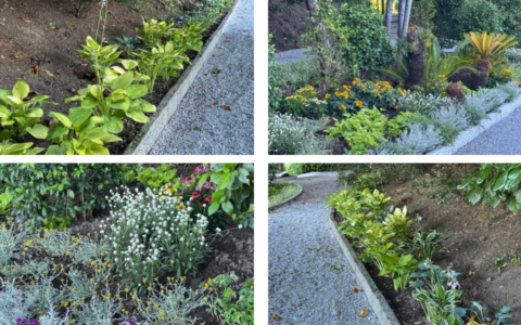 Villa Monastero a Varenna: conclusi i lavori di riqualificazione del Giardino botanico