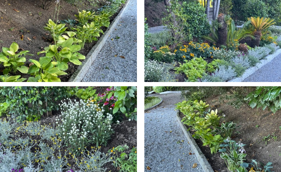 Villa Monastero a Varenna: conclusi i lavori di riqualificazione del Giardino botanico