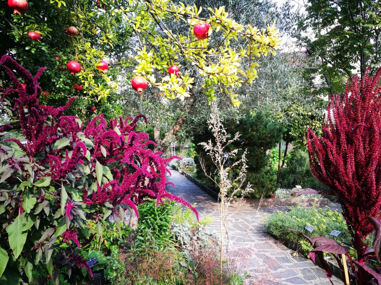Visita guidata in Lingua dei Segni all’Orto Botanico “Riccardo Villa” di Valmadrera