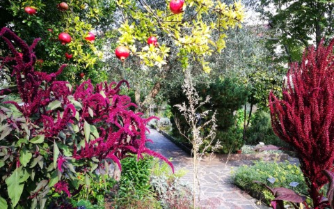 Visita guidata in Lingua dei Segni all’Orto Botanico “Riccardo Villa” di Valmadrera